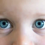 Quando os bebés começam a ver