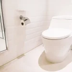 Desentupimento de sanitas