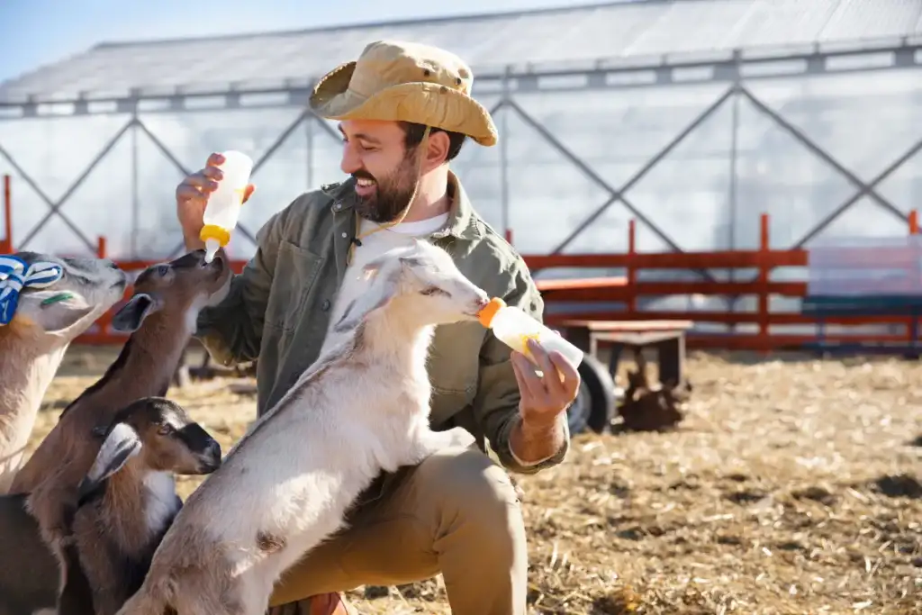 Vedação Elétrica para Animais
